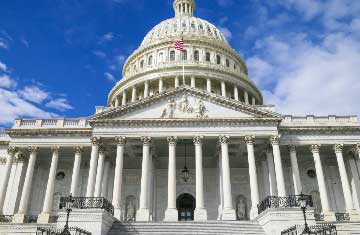 Politics / Government